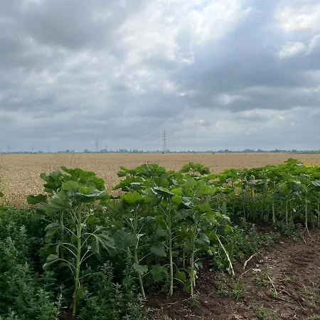 Gastenverblijf Stekkenhof * Haalderen