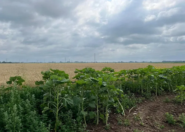 Gastenverblijf Stekkenhof * Haalderen